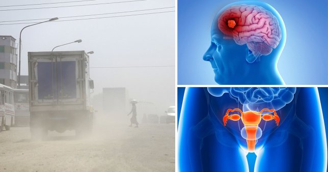 Air pollution damages each human organ and cell virtually, say researchers