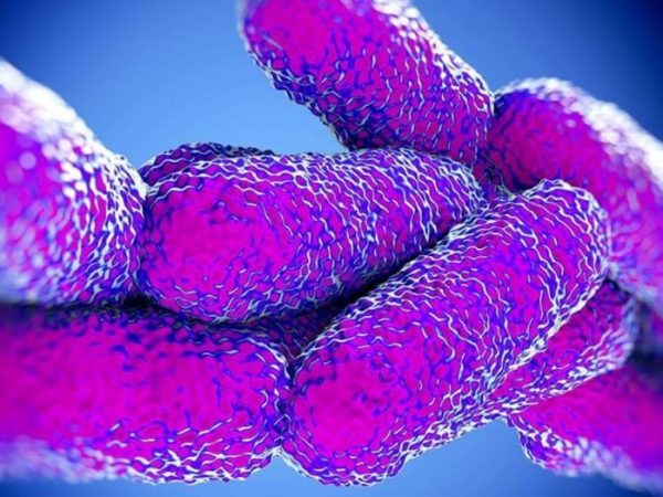 Legionnaires' disease bacteria found in Maine water district samples, state CDC says