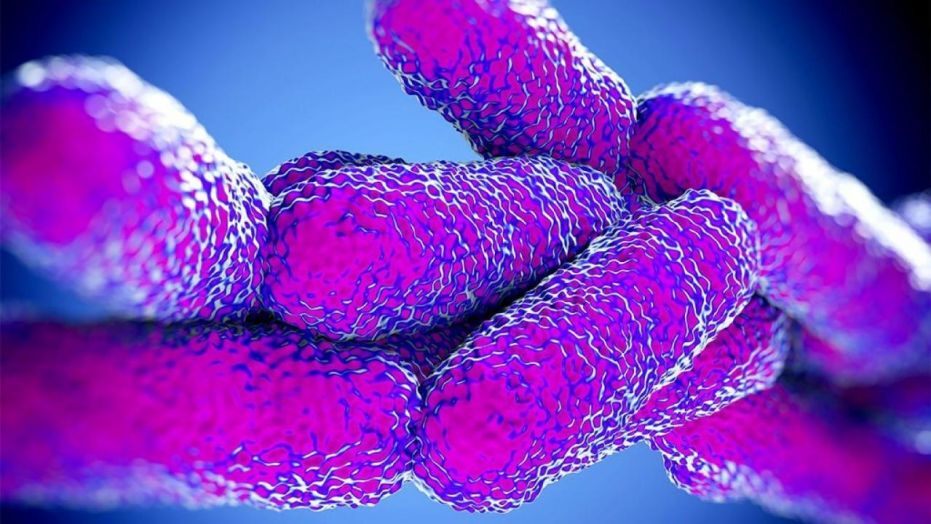 Legionnaires' disease bacteria found in Maine water district samples, state CDC says